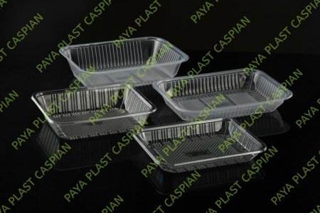 Caspian Disposable Containers