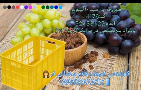 Introducing high quality raisins and grape baskets