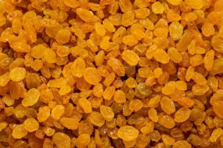 خرید عمده کشمش طلایی گلدن