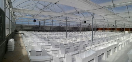 Khazkhavaran greenhouses: a revolution in sustainable cultivation, increasing productivity and unpar ...