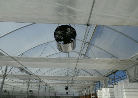 Khazkhavaran greenhouses: a revolution in sustainable cultivation, increasing productivity and unpar ...