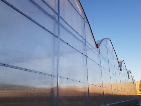 Khazkhavaran greenhouses: a revolution in sustainable cultivation, increasing productivity and unpar ...