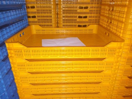 طبق کشمش،سبد خشک کن کشمش،سبد انگور