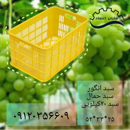 سبد 20کیلویی،سبد کشمشی،سبد گوجه