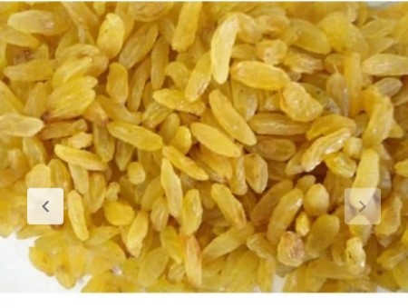 فروش عمده کشمش زرد قلمی