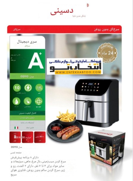 DS1113 Fryer Disinader Model