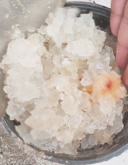 Summer Festival of Agriculture Hydrogel; A special opportunity to save water and costs