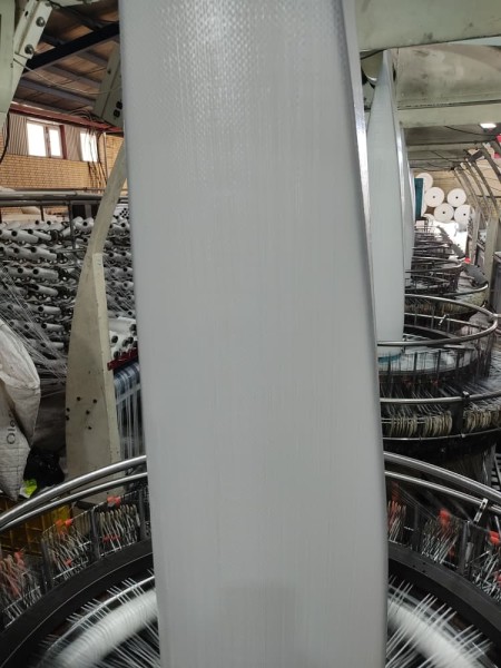 PP Roll Production of Factory with Your Technical Specifications