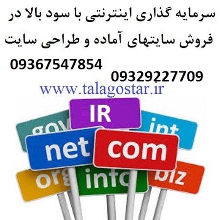 High -profit investment in lucrative internet job