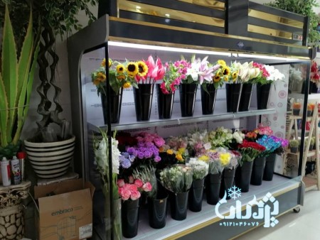 یخچال فروشگاهی   یخچال ایستاده پرده هوا  یخچال گل