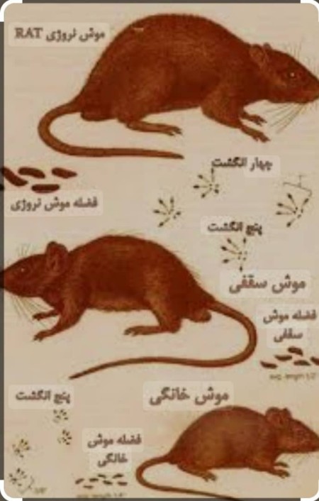 Specialized spraying