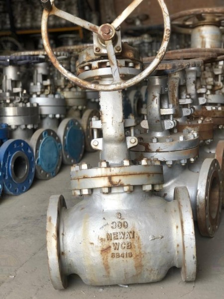 Sell ​​8 -inch needle valve