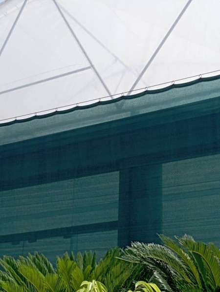 Greenhouse canopy lace