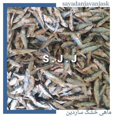 ماهی خشک جنوب، ماهی خشک ضمن صید