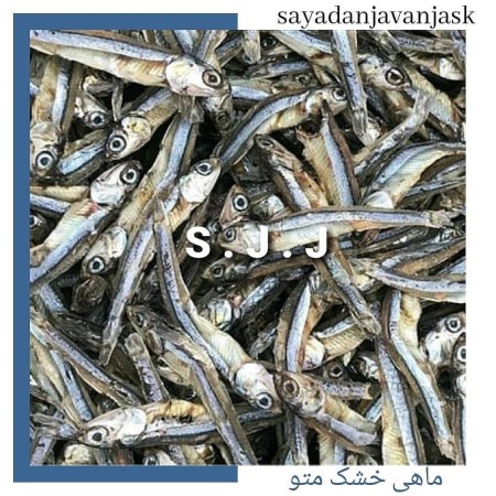 Dry sardine, dried sardine fish
