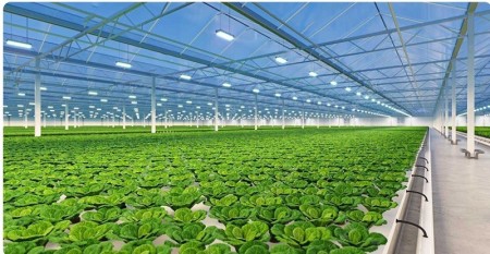 Production of Professional Greenhouses
