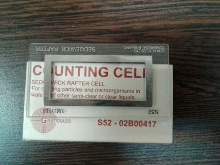 فروش لام سدویک رافتر