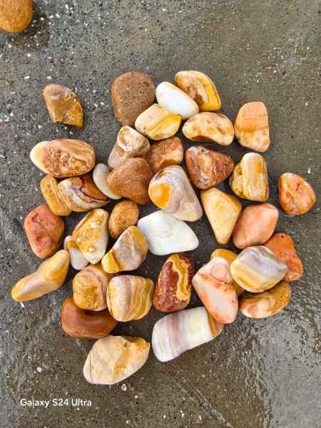 فروش قلوه سفید