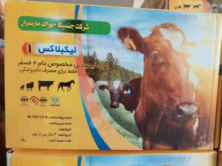 اجر های لیسیدنی