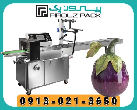 Pyrozpak export fruit packing machine; The freshness of the garden to the store shelf