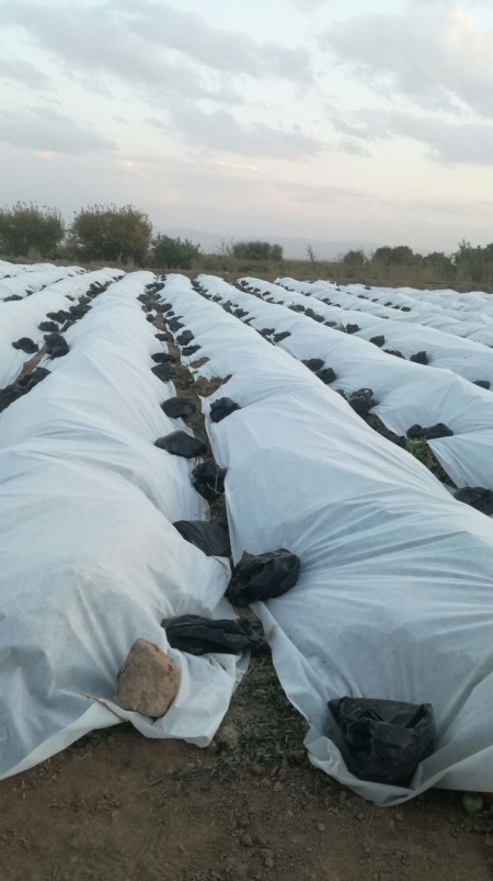 Sale of anti-cold covers