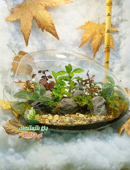 تراریوم شیشه ای دکوری