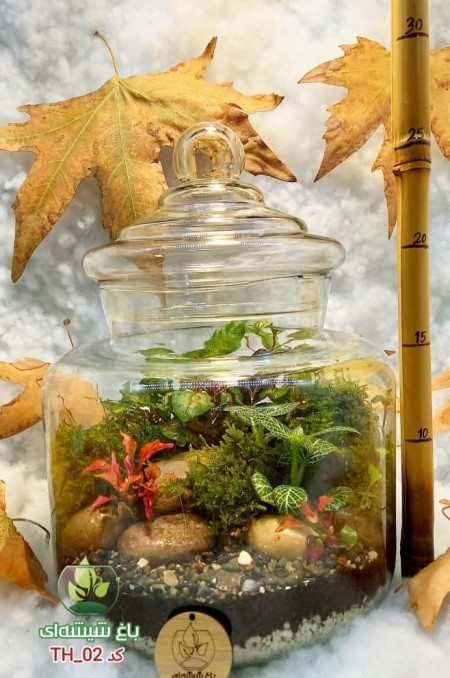 تراریوم شیشه ای دکوری