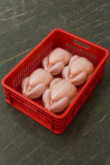 Sale of all kinds of protein and slaughterhouse baskets, shopping basket, 1700 gram basket, chicken  ...