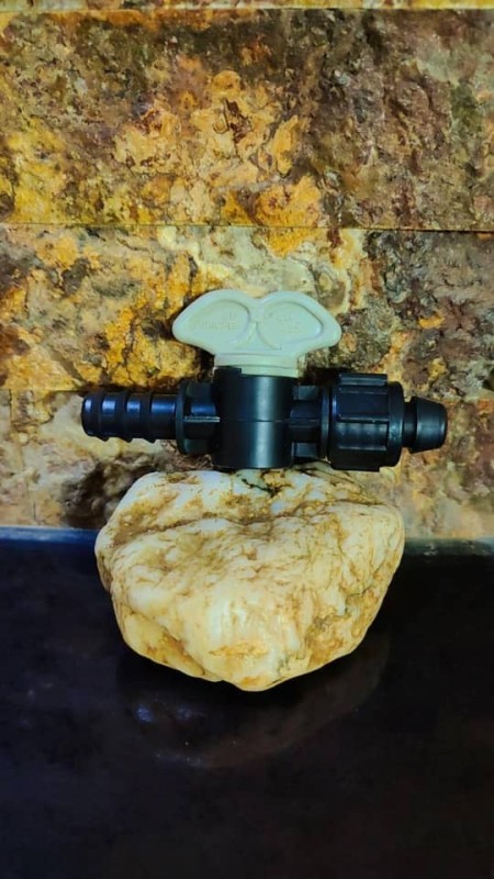 Lion 16 to the brigade