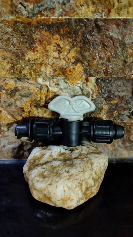 Lee flat B type milk