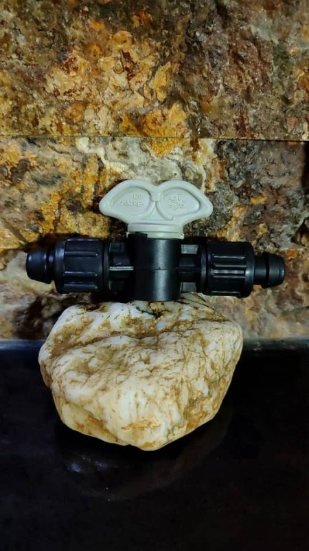 Lion 16 to the brigade