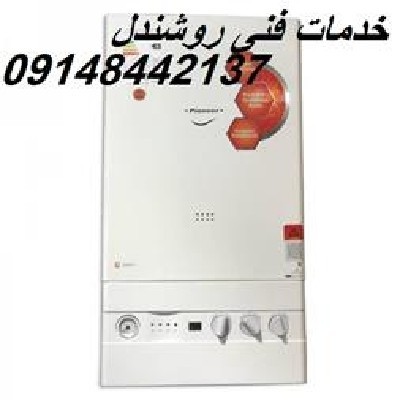 Goldiran Package Representative in Tabriz