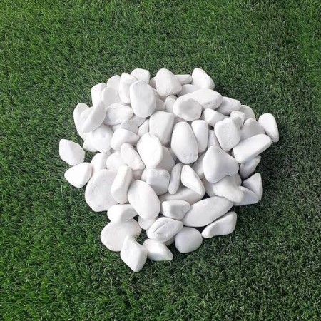 قیمت قلوه سفید (مقایسه سایز و کاربرد)