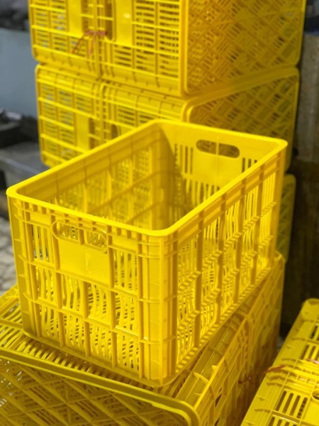 سبد میوه و سبد باغی پلاستیکی – مناسب حمل انار، پرتقال و گوجه