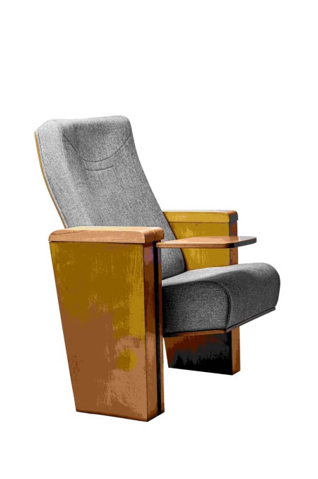 Specialized Sale of Amphitheater and Conference Chair Model R-1641-5