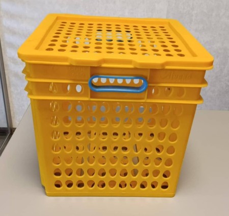 Egg Carrier Basket