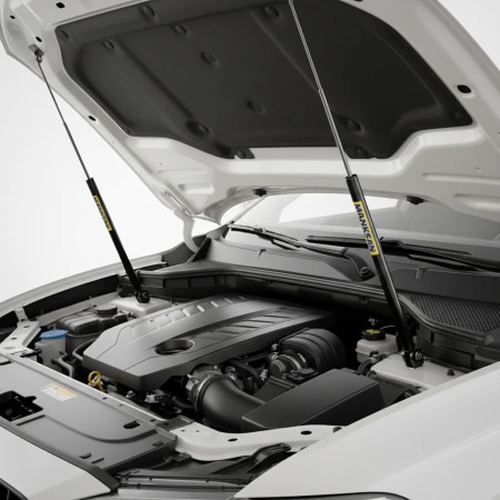 Sale of Various Gas Struts