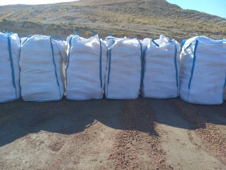 پوست گردو حفاری