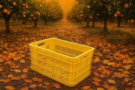 20-Kilogram Fruit and Citrus Basket - Orange Basket