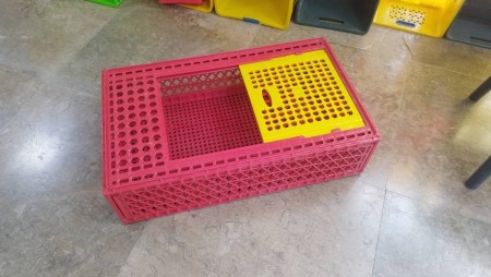 Famous Export Chicken Cage Known as Iraqi Cage