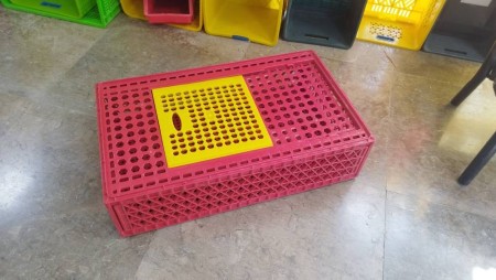 Famous Export Chicken Cage Known as Iraqi Cage