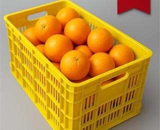 سبد سورتینگ فلفل دلمه 40 کیلویی