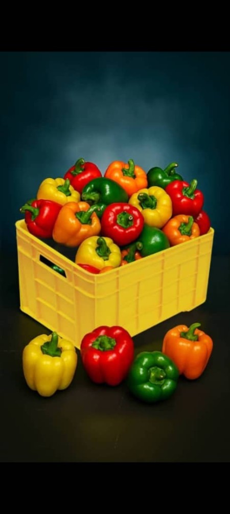 سبد 40 کیلویی درجه یک و درجه 2 سبد سورتینگ سبد فلفل