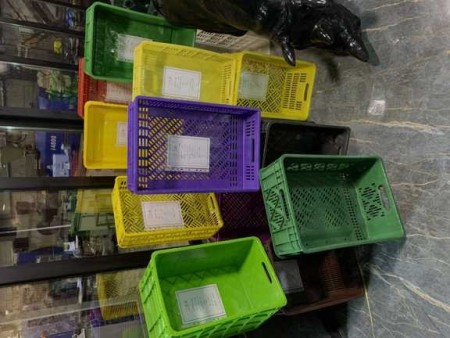 تولید و فروش سبد ماهی ،باسکت ماهی ،صندوق ماهی