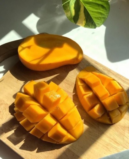 Olbrich Food Grade Mango Essence Germany (Olbrichtarom)