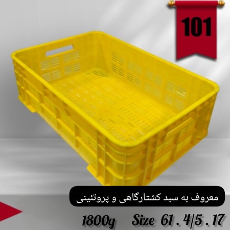 باسکت ماهی باسکت 40 کیلویی