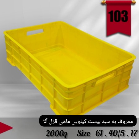 سبد ماهی قزل آلا سبد 20 کیلویی  درجه دو