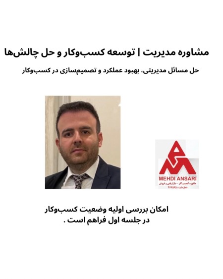 مشاوره مدیریت / توسعه کسب‌وکار و حل چالش‌ها