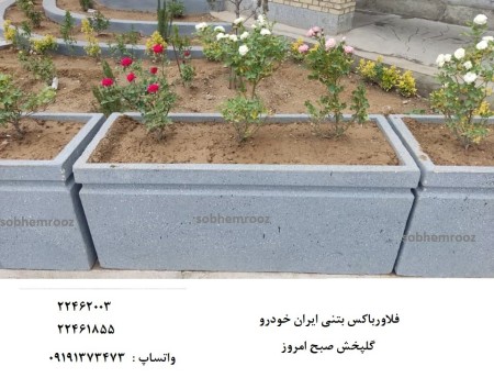 Concrete Flower Box