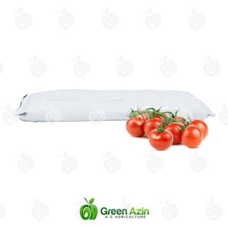 Production and Export of Perforated Grobag Specifically for Tomatoes